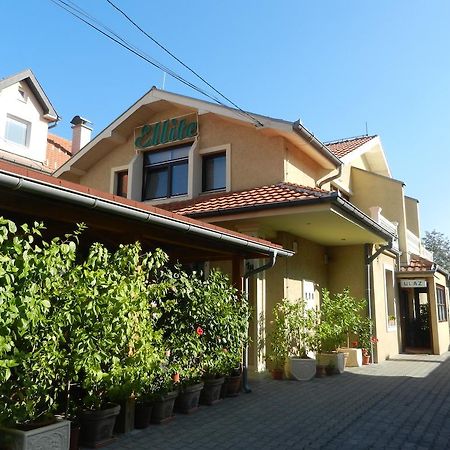 Guesthouse Ellite Pozarevac Bagian luar foto